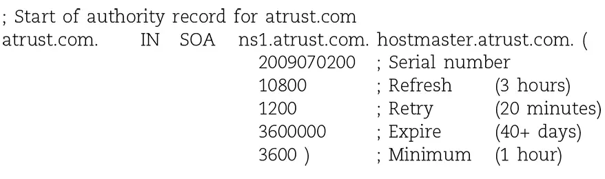 The name field of the SOA record (atrust.com. in this example) often contains the symbol @, which is shorthand for the name of the current zone. 