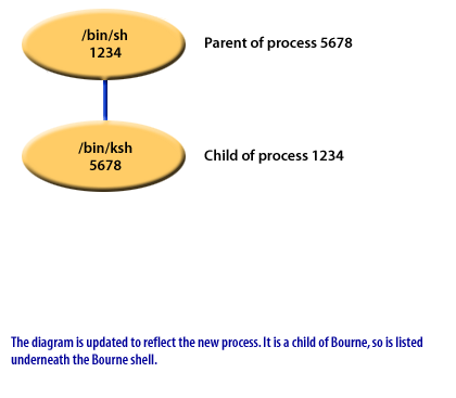 The diagram is updated to reflect the new process. It is a child of Bourne